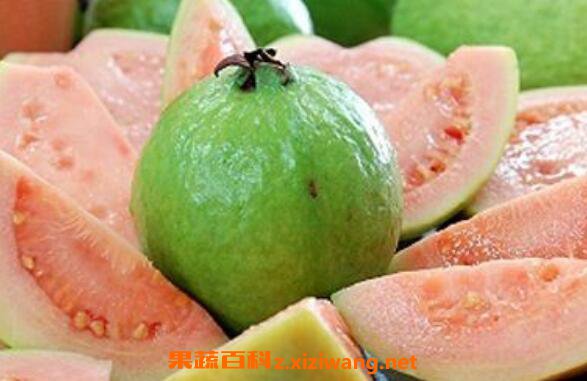  ��ʯ����ô�� ��ʯ��ĳԷ�����