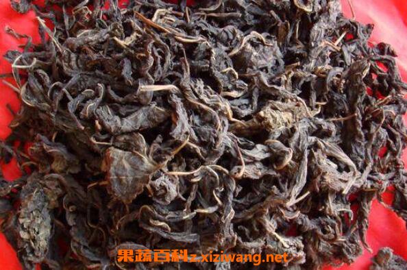 ��֥��Ҷ��ô�Ժó� ��֥��Ҷ�ĳԷ�