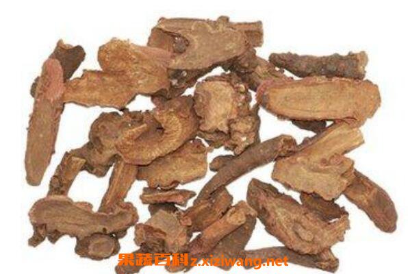 ���ܵĹ�Ч�����ü�ҩ�ü�ֵ