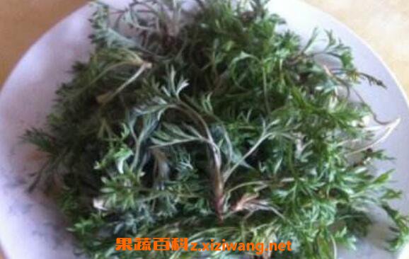  ��ҩ����Ĺ�Ч������