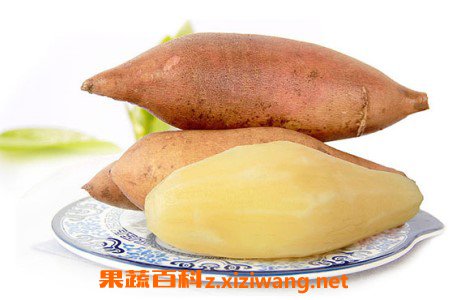 ѩ������ô����� ѩ�����ĳԷ���ȫ