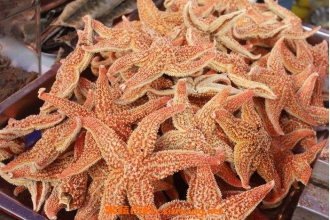 �ɺ�����ô�� �ɺ��ǵĹ�Ч������