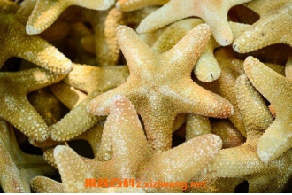 �ɺ�������ǰ�����ϴ �ɺ���������ʲô��Ч