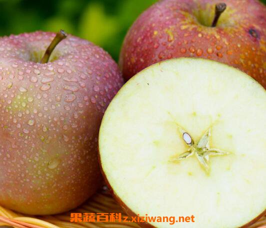 ������ƻ���Ĺ�Ч������