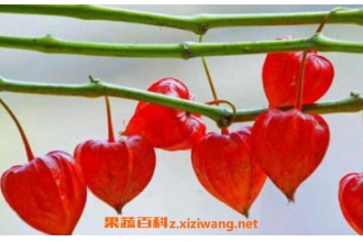 �����Ĺ�Ч������ �Ժ����ĺô�