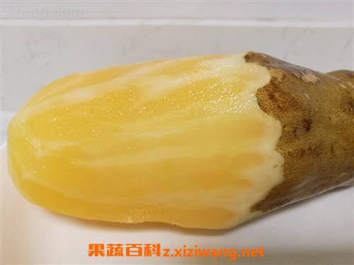 ѩ�����ó��� ѩ�����Ǻ��Ե��� ѩ��������