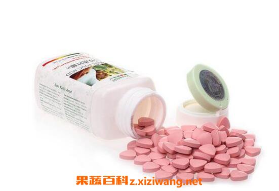  Ҷ��������빦Ч Ҷ��ĸ���������Щ