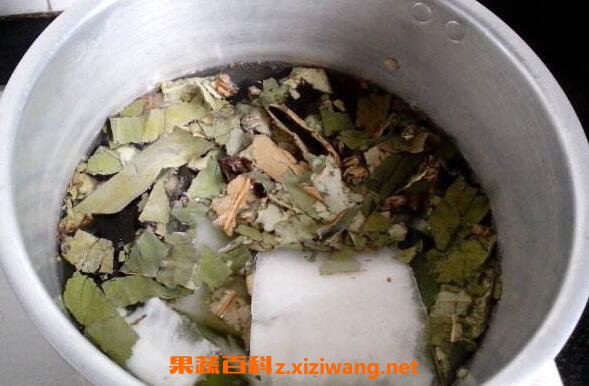 ���Ϻ�Ҷ����ô�� ���Ϻ�Ҷ�����ȷ�ȷ�