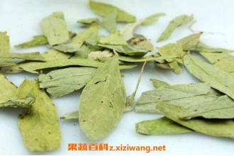 ��кҶ�Ĺ�Ч�����ü�ʳ�÷���