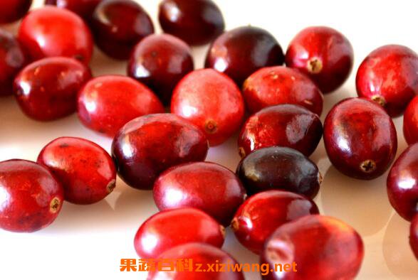 ��Խݮ�Ĺ�Ч�����ü�ʳ�÷���