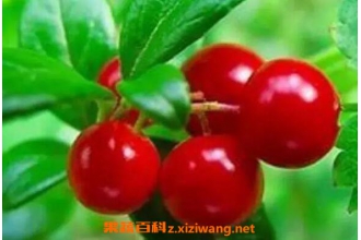 �ܹ��յĹ�Ч������ �ܹ��յĸ�����