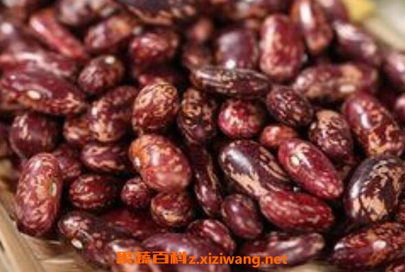 �컨�˶��Ĺ�Ч������