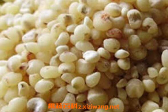 �����׵Ĺ�Ч������