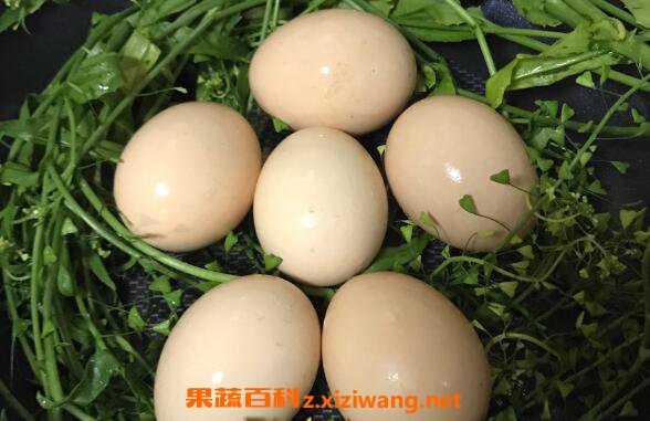  �󼦵�Ҫ��ò����� �󼦵��ÿ�ˮ������ˮ