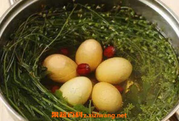 ��Ҷ�󼦵���ô�� ��Ҷ�󼦵��Ĺ�Ч������