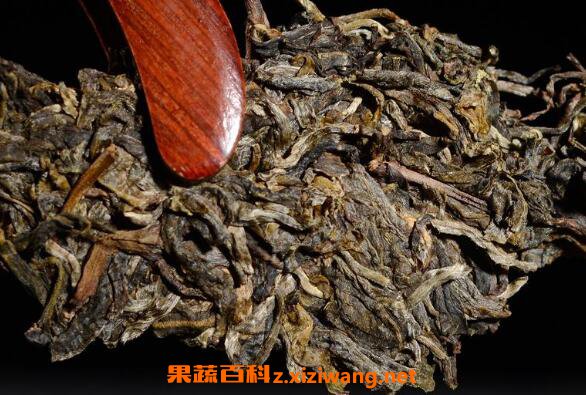 ��������α��� �����豣�淽��