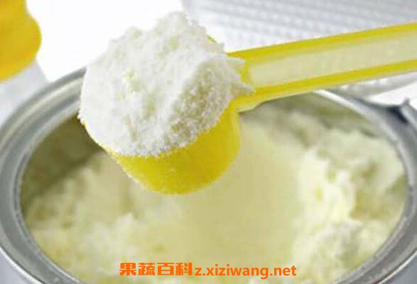 奶粉如何冲泡 奶粉冲泡的正确方法