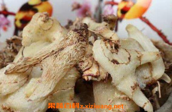 ��ҩ�׼��Ĺ�Ч������ �׼��Ľ���