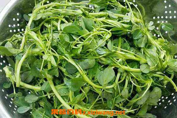 ��ޣ��Щ�˲��ܳ� ��ޣ���ܺ�ʲôͬ��