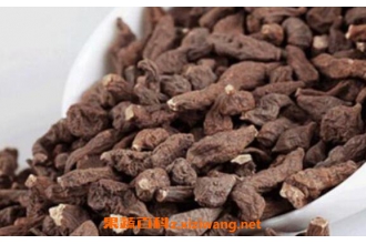 ާ����ô�� ާ���ʳ�÷���