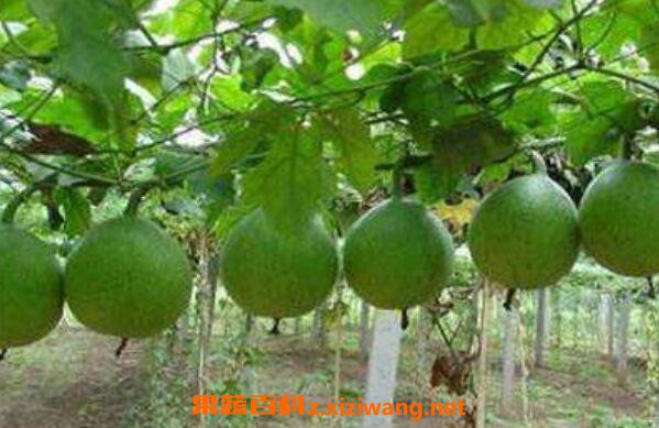 ʲô�ǹ��� ������ô��