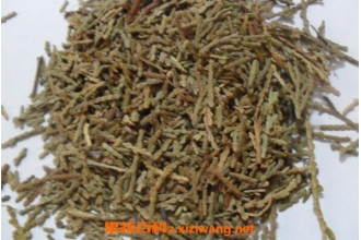 ���Ҷ�Ĺ�Ч�����ü�ҩ�ü�ֵ