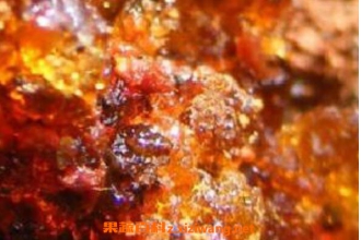 ��֬�Ĺ�Ч�����ü�ҩ�ü�ֵ
