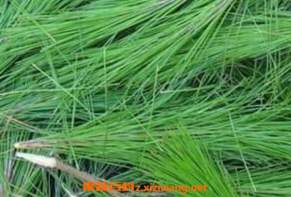 ��β����Ĺ�Ч������