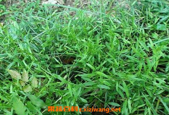 ������ݵĹ�Ч������