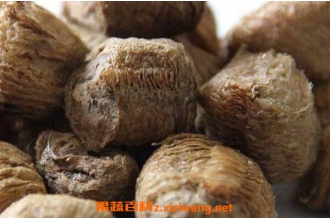 ɣ��ٵĹ�Ч�����ü�ҩ�ü�ֵ