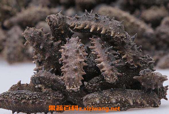 Ұ�����ε�Ӫ����ֵ�빦Ч