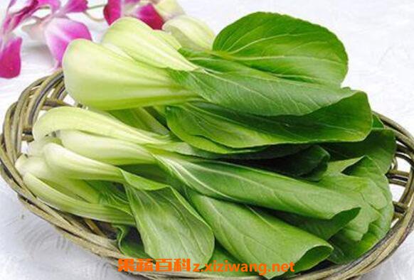 小白菜怎么吃 小白菜的功效与作用