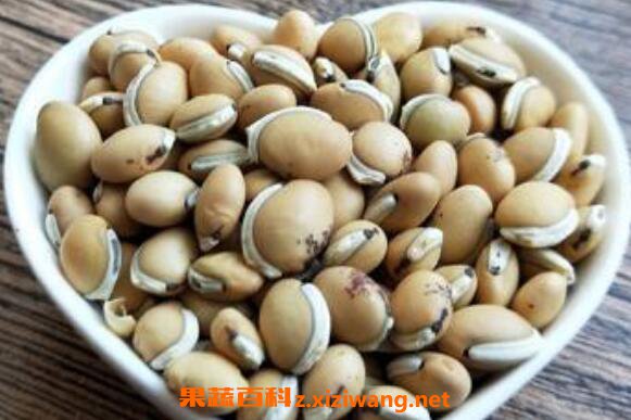 ���ױⶹ�Ĺ�Ч�����ü�ҩ�ü�ֵ