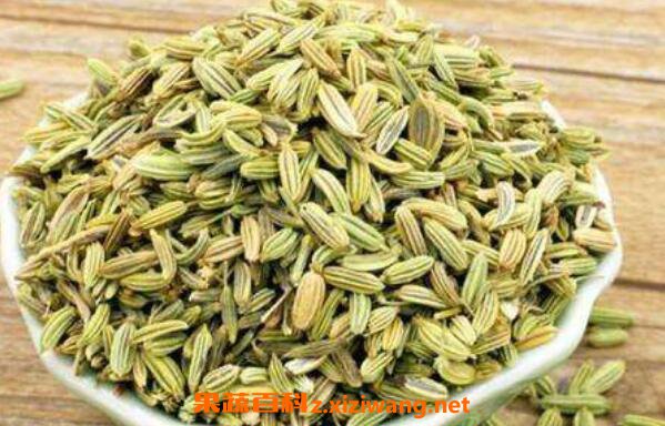 С��������ôʹ�� С�����ѵ�ʳ�÷���