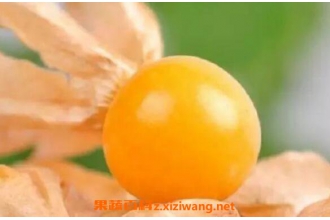 ���ױ���������Ĺ�Ч������