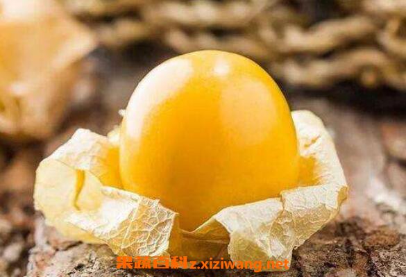 ���ױ����������ô�� ���ױ����������ʳ�÷���