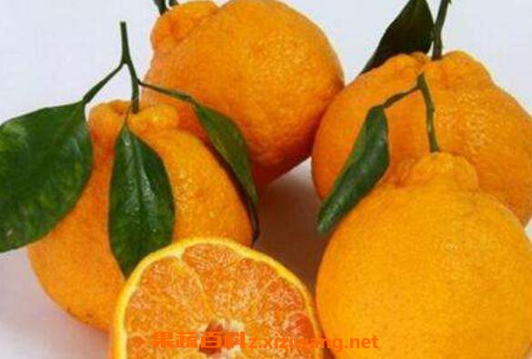 �ڸ���ʲôˮ�� �ڸ̵Ĺ�Ч������