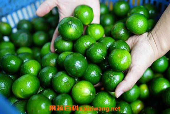 С��̵Ĺ�Ч������