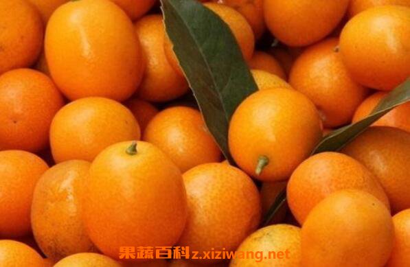 ��Ǯ�ٵĹ�Ч������ ��Ǯ���ϻ���