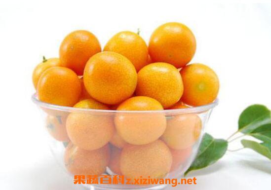 ��Ǯ��ֹ�ȵ�����