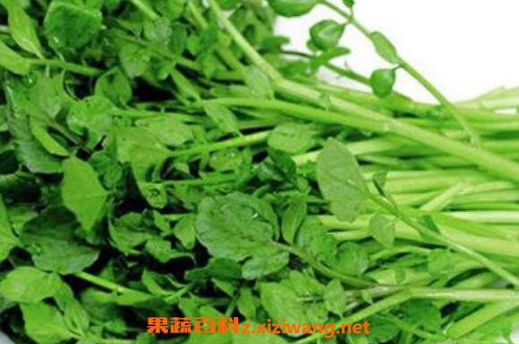 ��ޣ���صĹ�Ч������ ��ޣ���ص���ȷ�Է�