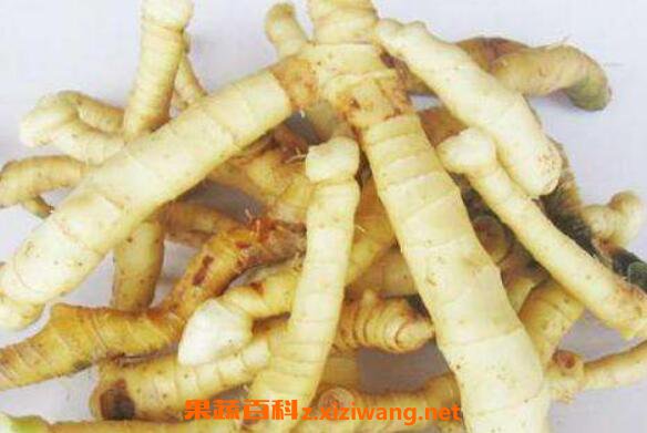 ����Ĺ�Ч����������Щ