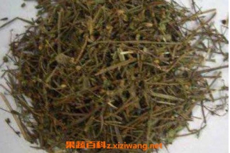 ��֦����Ĺ�Ч������