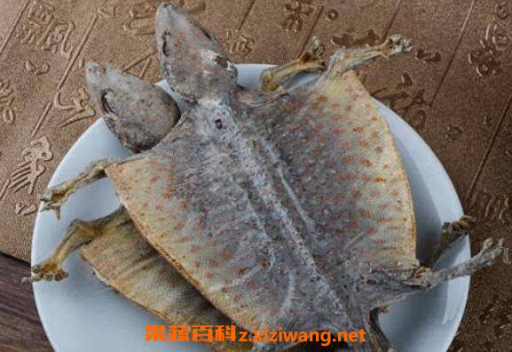 蛤蚧泡酒的功效与作用