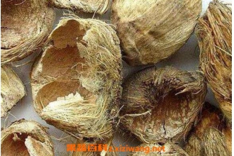 ��Ƥ�Ĺ�Ч�����ü�ʳ�÷���