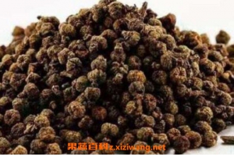 �����ǵĹ�Ч�����ü�ҩ�ü�ֵ