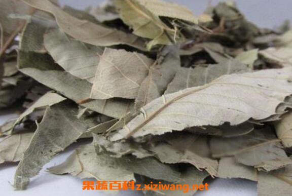 ����Ƣ�Ĺ�Ч������ ����Ƣ����������