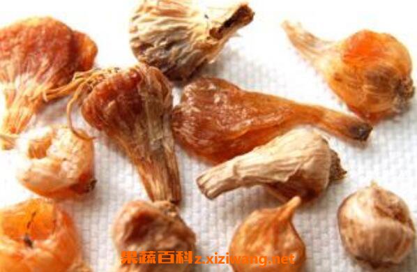 ��ҩޯ�׵Ĺ�Ч������