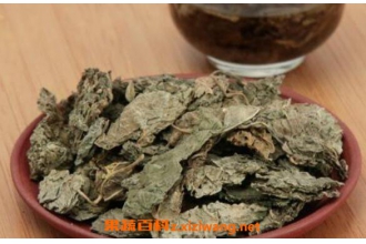 ������Ҷ�Ĺ�Ч�����ü�ʳ�÷���