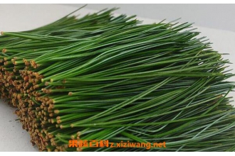 ����Ҷ�����ú͹�Ч